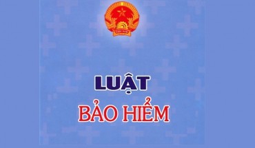 Luật Bảo Hiểm
