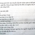Hàng Hoá Vận Tải Biển
