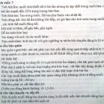 Hàng Hoá Vận Tải Biển