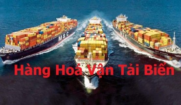 Hàng Hoá Vận Tải Biển
