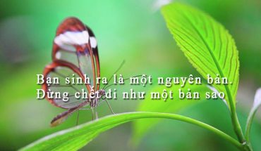 [Văn Nghị luận Mẫu] “Bạn sinh ra là một nguyên bản, đừng chết như một bản sao”.