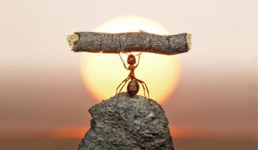 [Văn Nghị luận Mẫu] Hãy cố gắng!