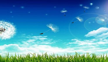 [Văn Nghị luận Mẫu] “Sống trong đời sống cần có một tấm lòng”