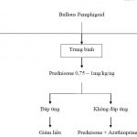 Bóng Nước Dạng Pemphigus (Bullous Pemphigoid) 1
