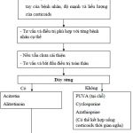 Chẩn Đoán, Điều Trị Chàm Bàn Tay (Hand Dermatitis) 1