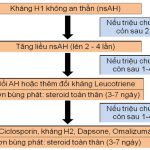 Chẩn Đoán, Điều Trị Mày Đay Mạn Tính (Chronic Urticaria) 1