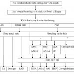 Chẩn Đoán, Điều Trị Viêm Mạch 1