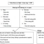 Chẩn Đoán, Điều Trị Viêm Mạch 3
