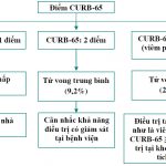 Chẩn Đoán, Điều Trị Viêm Phổi Mắc Phải Cộng Đồng 1