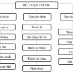Phác Đồ Chẩn Đoán, Điều Trị Rối Loạn Cương Dương 1
