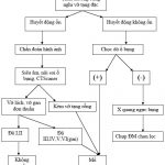 Phác Đồ Xử Trí Vỡ Tạng Đặc 1