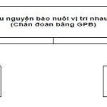 Điều Trị Thai Trứng 4