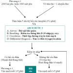Phác Đồ Cấp Cứu Ngưng Tim – Ngưng Thở 1