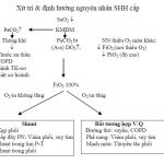 Phác Đồ Xử Trí Suy Hô Hấp 1