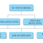 Phác Đồ Điều Trị Dị Tật Môi – Hàm Ếch Bẩm Sinh 1