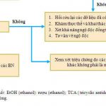 Chẩn Đoán Và Xử Trí Ngộ Độc Cấp 2