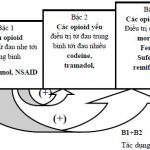 Phác Đồ Điều Trị Giảm Đau Sau Phẫu Thuật 2