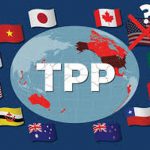 Bài tập lớn Tìm hiểu TPP, vai trò của Mỹ trong TPP và lợi ích của TPP đối với ngành Logistics ở Việt Nam