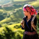 Văn Mẫu Cảm Nhận về hình tượng thiên nhiên và con người Việt Bắc