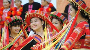 Văn mẫu Cảm nghĩ về bản sắc văn hóa Việt Nam