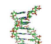 Chuyên đề bồi dưỡng ôn thi đại học cao đẳng môn Sinh học - Phương pháp giải bài tập di truyền Menđen và quy luật di truyền tương tác gen