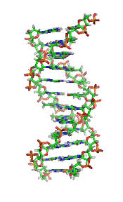 Chuyên đề bồi dưỡng ôn thi đại học cao đẳng môn Sinh học - Phương pháp giải bài tập di truyền Menđen và quy luật di truyền tương tác gen