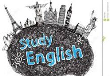 Đề thi thử THPT Quốc gia môn Tiếng Anh (năm học 2015-2016) Mã đề thi 17